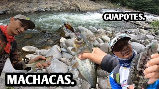 Pesca de Machacas Y Guapotes en Río Costa Rica.