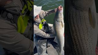 BIG Striped Bass On The Jig!