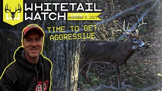 Weekend Forecast 11/11-11/12 - Time to Get More Aggressive | Whitetail Watch