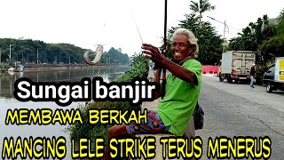 sungai banjir membawa berkah‼️ mancing lele pesta strike