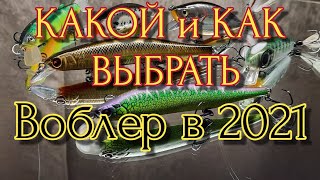 КАК и КАКОЙ ВОБЛЕР ВЫБРАТЬ В 2021 | ТОП ЛУЧШИХ НОВИЧКУ | Fishing | Kosadaka | Рыбалка