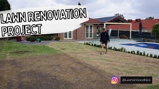 Lawn renovation project // Different ways to renovate your lawn