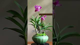 A beautiful green plant Dendrobium #shortvideo #plants #youtubeshorts #viralvideo #viralshort