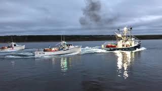 "2018 The Parade of Boats" Snow Crab fishing in Cheticamp, Cape Breton by Sabra MacGillivray