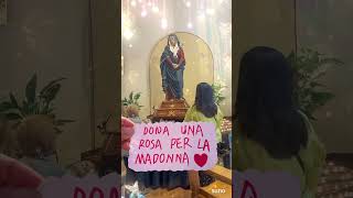 DONA UNA ROSA PER LA MADONNA #maria #shorts