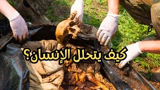 كم يستغرق تحلل الإنسان؟