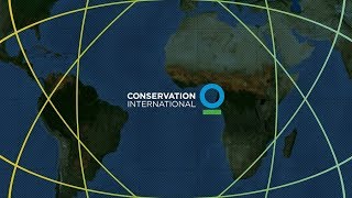 Conservation International Uses Analytics to Create a More Sustainable World