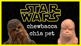 🌌🌱 How a Seed Grows | Brief Explanation Starring Chewbacca