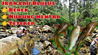 Keseruan Cari Ikan Lau Blulus (ngareh) di pandekail batuanggan