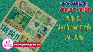 HÒN VỌNG PHU - AI XUÔI VẠN LÝ - VỌNG CỔ - TÂN CỔ GIAO DUYÊN TUYỂN CHỌN TRƯỚC 1975