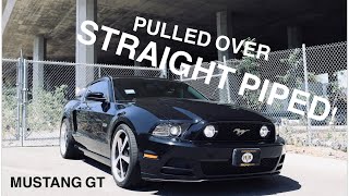 PULLED OVER FOR HAVING A STRAIGHT PIPED MUSTANG GT!