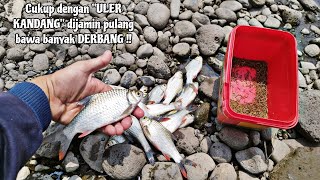 JANGAN RISAU ‼️ SEGERA PAKAI TEHNIK INI SAYA JAMIN PASTI DAPAT BANYAK IKAN || Mancing Bader Tawes