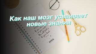 Как наш мозг усваивает новые знания