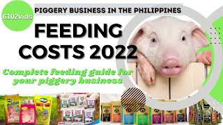 Piggery Business Feeding Costs 2022 | Swine Pig Feeding Guide | Magkano Ang Kita sa Piggery Business