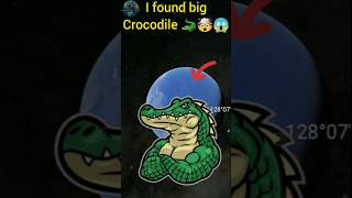 I Found Amazing big crocodile 🐊 🤯😱On Google Earth #shorts #google #googleearth #googlemaps #viral