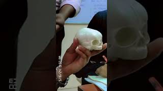 diameter of fetal skull (part-1)# OBG lab# bsc Nursing & GNM students 😊