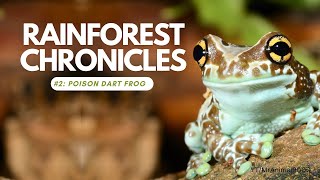 Episode 2: Colorful Yet Deadly: The Fascinating World of Poison Dart Frogs! 🐸🌿