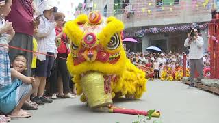 the drunken lion dance performances