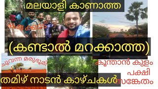 കലക്കാട് /koonthakulam  bird sanctury/ therri kadu/ തെറി കാട്  ചുവന്ന മരുഭൂമി/kalakkadu water falls