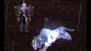 Taming Ankha - Rare spirit beast in Mount Hyjal