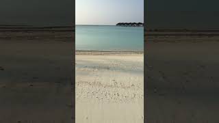 Beach villa in Sun Siyam Ohluvelli wake up walk on the beach in Maldives