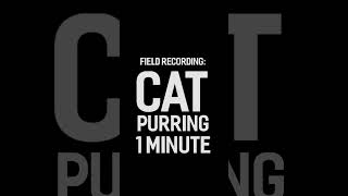 Field Recording: Cat Purring. 1 Minute.