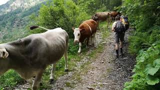 Riserva naturale Sant'Antonio