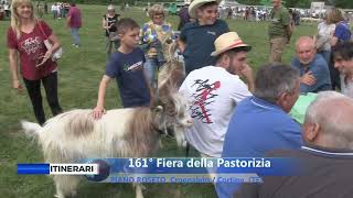 PIANO ROSETO  161°  FIERA DELLA PASTORIZIA