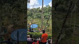 Bali Swing Alas Harum