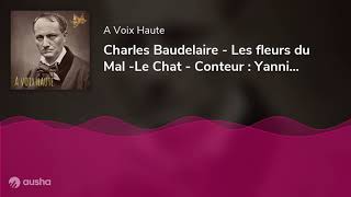 Charles Baudelaire - Les fleurs du Mal -Le Chat - Conteur : Yannick Debain