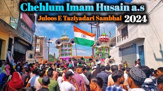 Juloos E Taziya Chehlum Sambhal 2024 | Full Juloos Video Sambhal