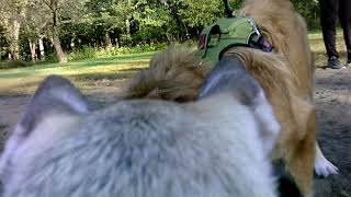 Rocko Cam #1-Play Time At The Park