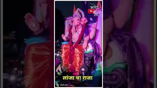 Lanja cha raja | लांजाचा राजा #viralvideo #kokan #lanja