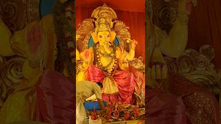 Ganpati bappa morya #marathi #cute #trending #siliguri #shortfeed #shorts