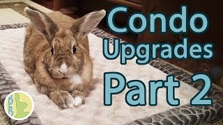 Upgrading the Rabbit Condo Part 2 | DIY NIC Cage Upgrade