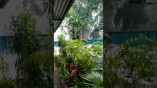 Rain Sound#ytshorts#Monsoon#shorts