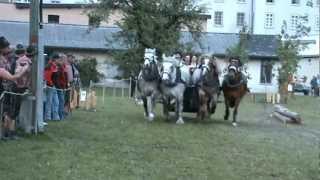 Ben Hur Show an den Glarner Zugpferdetagen in Haslen, Schweiz, 2012, Teil 2