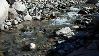 water tickling sound for good sleep 😴🎧❤️#rain #rainsounds #nature