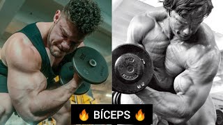 EL EJERCICIO que hacía ARNOLD SCHWARZENEGGER para BÍCEPS GIGANTES! - El favorito de WESLEY VISSERS