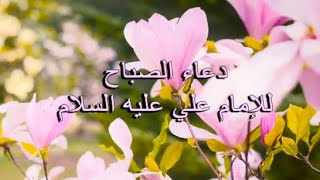 دعاء الصباح للامام علي عليه السلام بصوت هدى الخاقاني