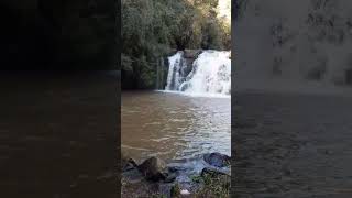 Belezas da natureza - Cascata de Tesouras RS  #água #cascata #natureza #Shorts