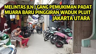 Melintas Jalan / Gang Pemukiman Padat Pinggiran Waduk Pluit Penjaringan Jakarta Utara