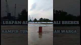 Luapan Air Kali Pemali Brebes #shorts