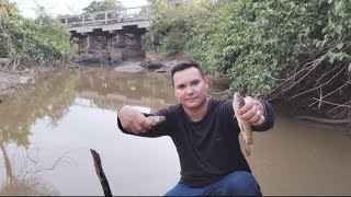 MESMO COM O IGARAPÉ SECO DEU DE GARANTIR O FRITO!🎣🎣...@Elton-e-Aline