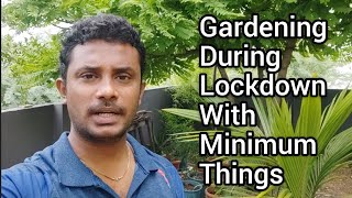 How to do Gardening During Lockdown With Minimum Things