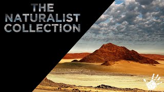 The Naturalist Collection - Sea Of Sand