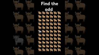 find the odd emoji#brain challenge#puzzle#smart quiz#YouTube shorts@shorts video#@crazy brain