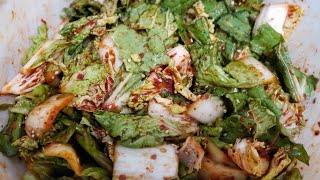 Bomdong muchim / spring cabbage salad