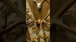 Big Deer | Sheds and Sheds and Sheds | QuickShot | MyOutdoorTV