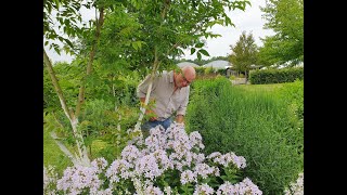 Arjan Schepers talks plants and potting mixes